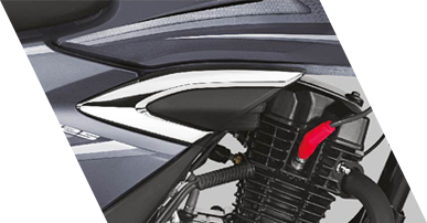 Planet Honda - Shine BS6 Premium_chrome_stroke_onsidecover